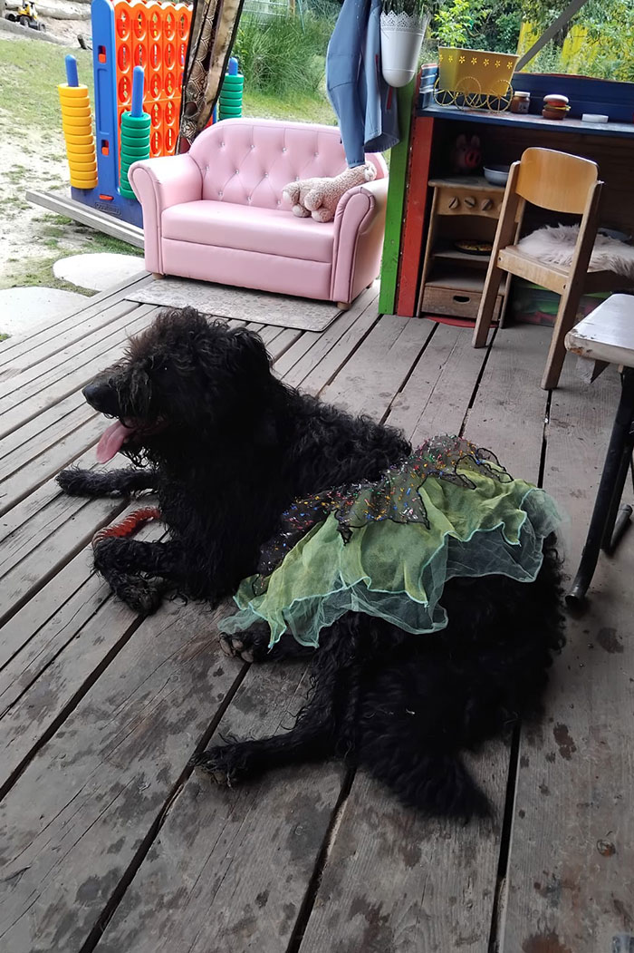 Unser Hund Bärti